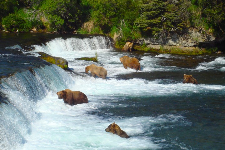Brooks Falls Katmai National Park