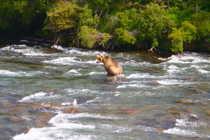 a river running through a body of water