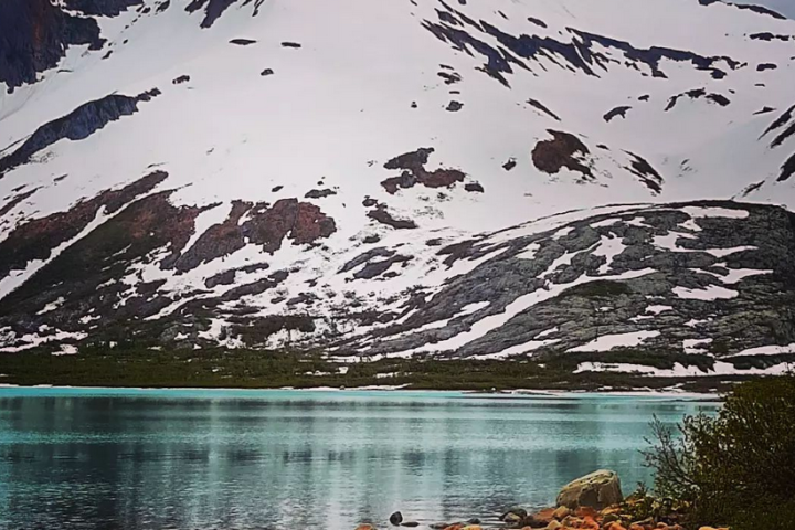a flock of seagulls standing on the side of a mountain