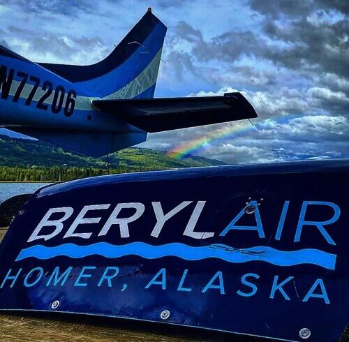 a large air plane on a cloudy day
