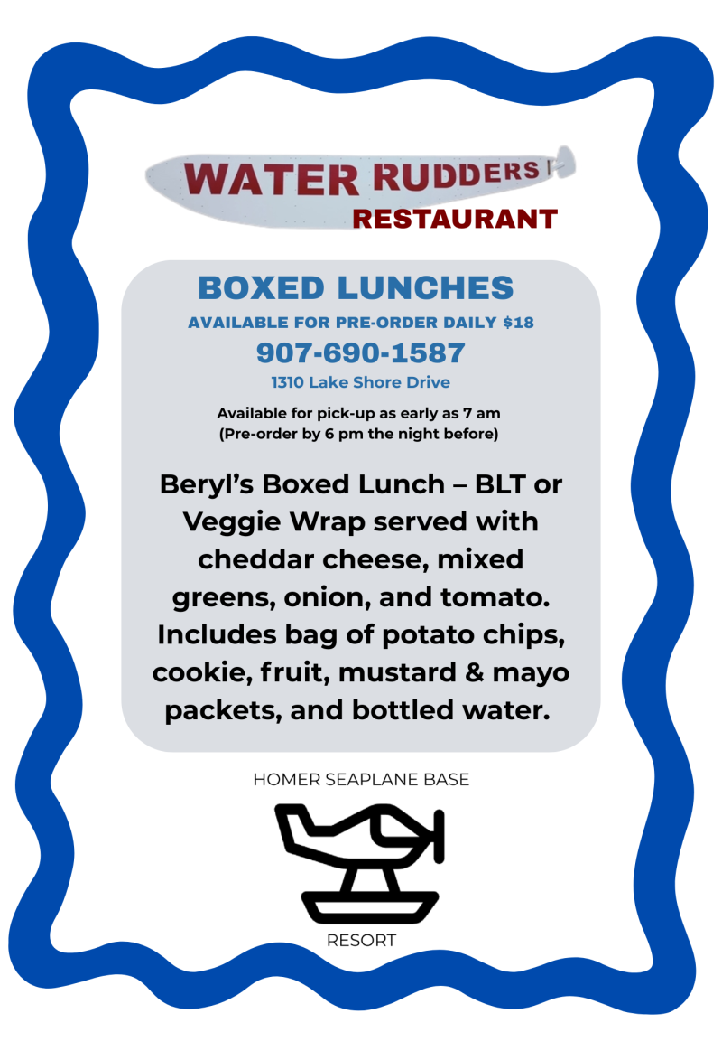 Restaurant flyer for boxed lunches with contact info and menu details, featuring plane graphic.